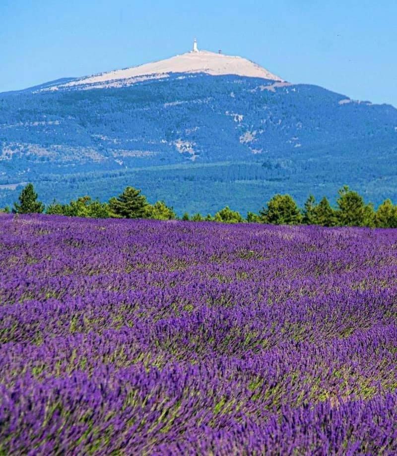 פרנה-לה-פונטיין Domaine Du Moulin De Villefranche מראה חיצוני תמונה